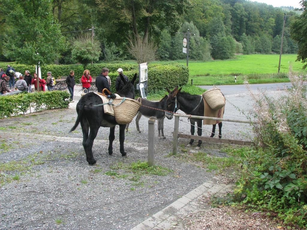 Hotel Wildenburger Hof Friesenhagen Zewnętrze zdjęcie