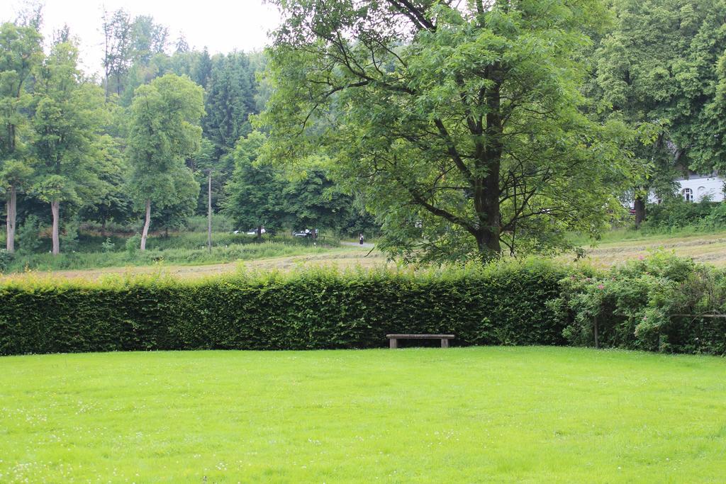 Hotel Wildenburger Hof Friesenhagen Zewnętrze zdjęcie